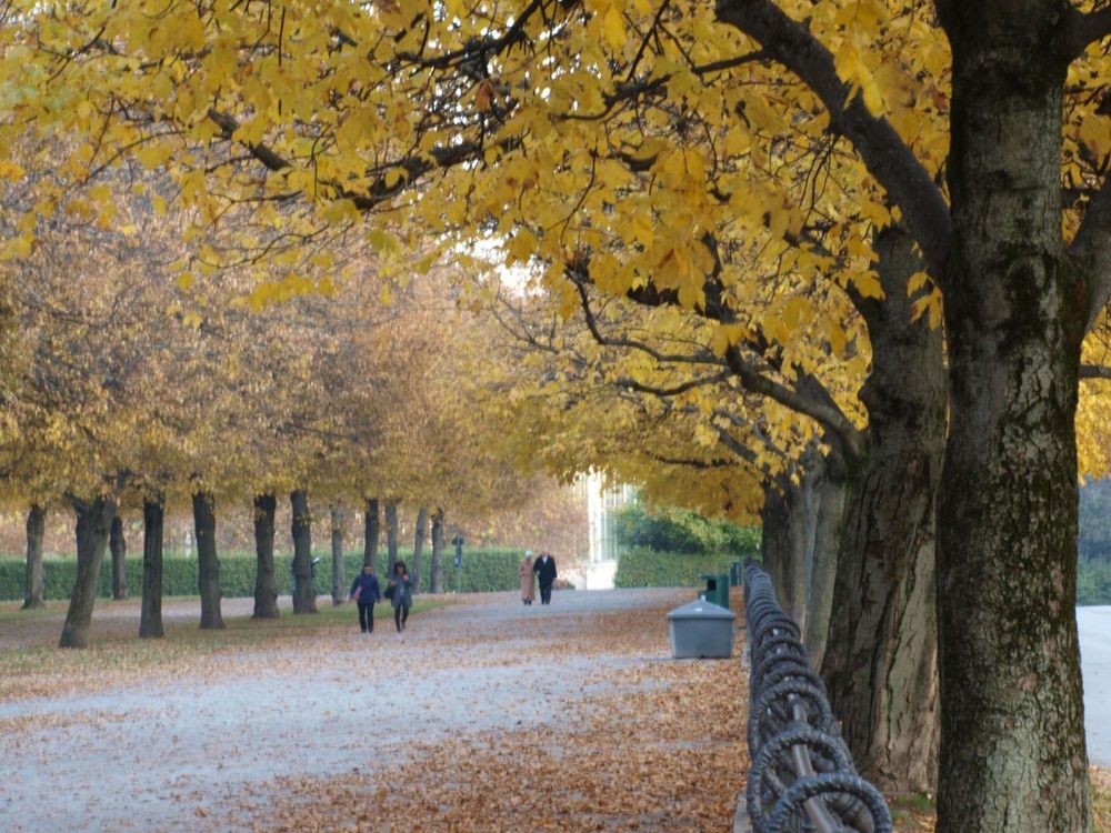 Herbstlicher Hofgarten