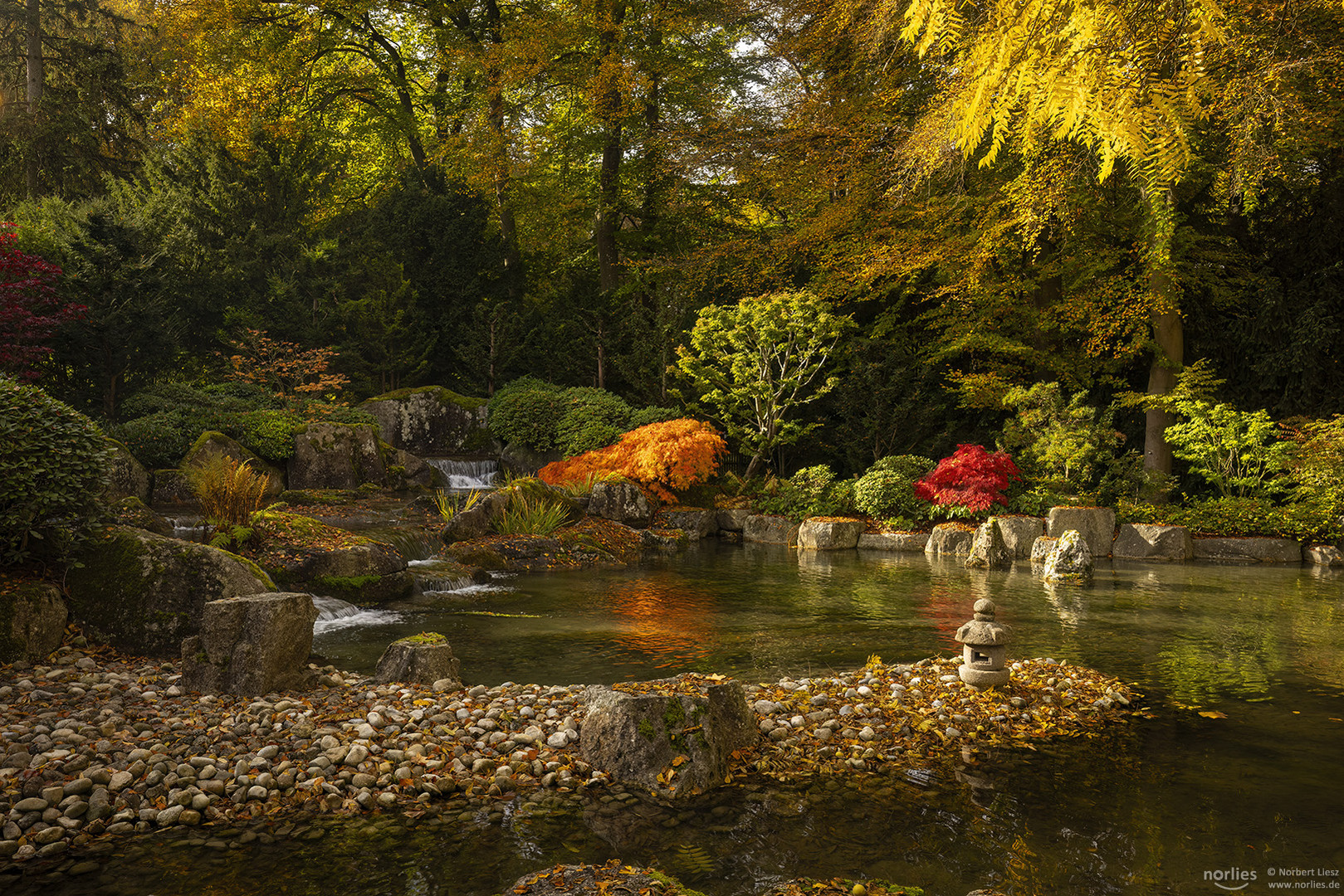 Herbstlicher Japangarten