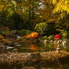 Herbstlicher Japangarten