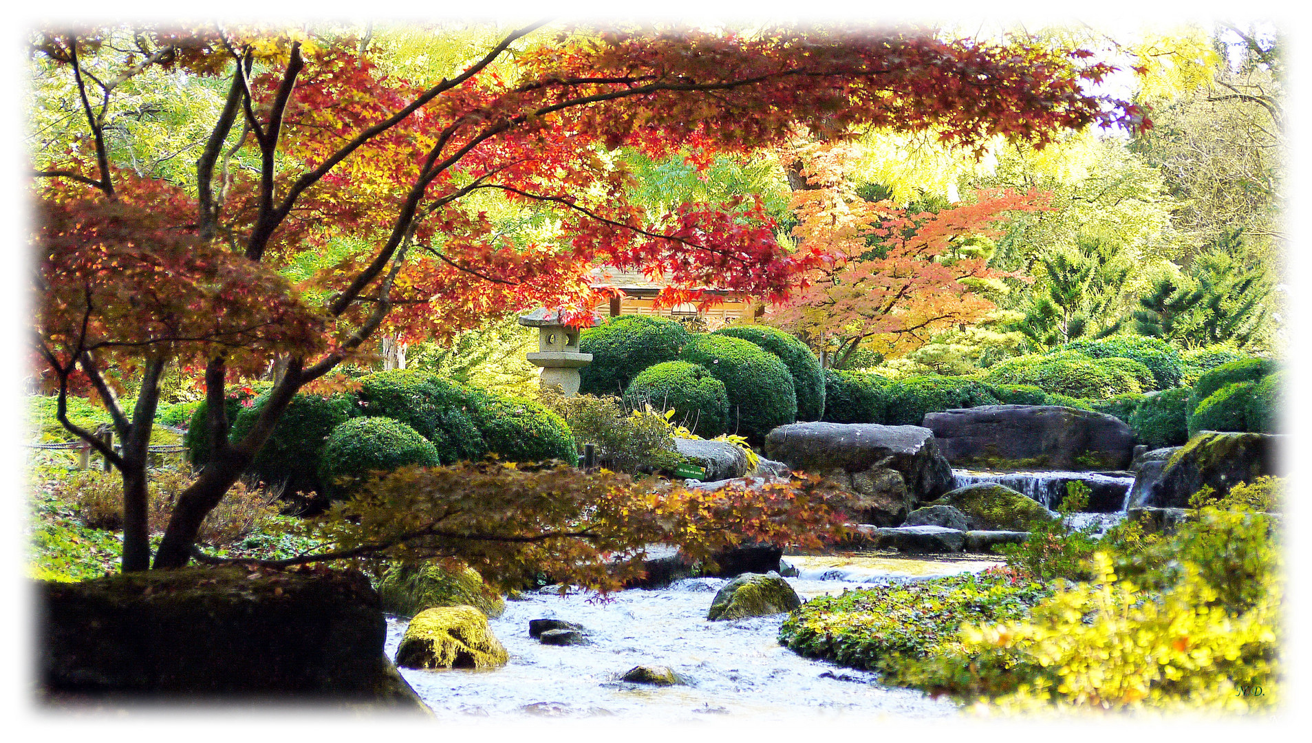 herbstlicher Japangarten im Augsburger-Botanischen Garten