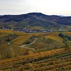 Herbstlicher Kaiserstuhl