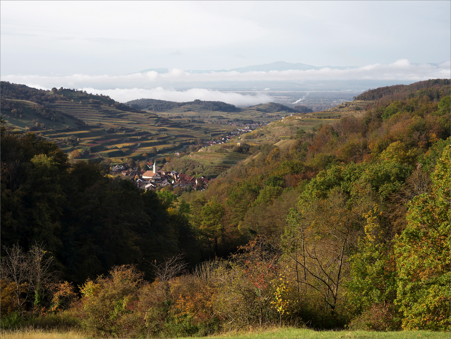 Herbstlicher Kaiserstuhl