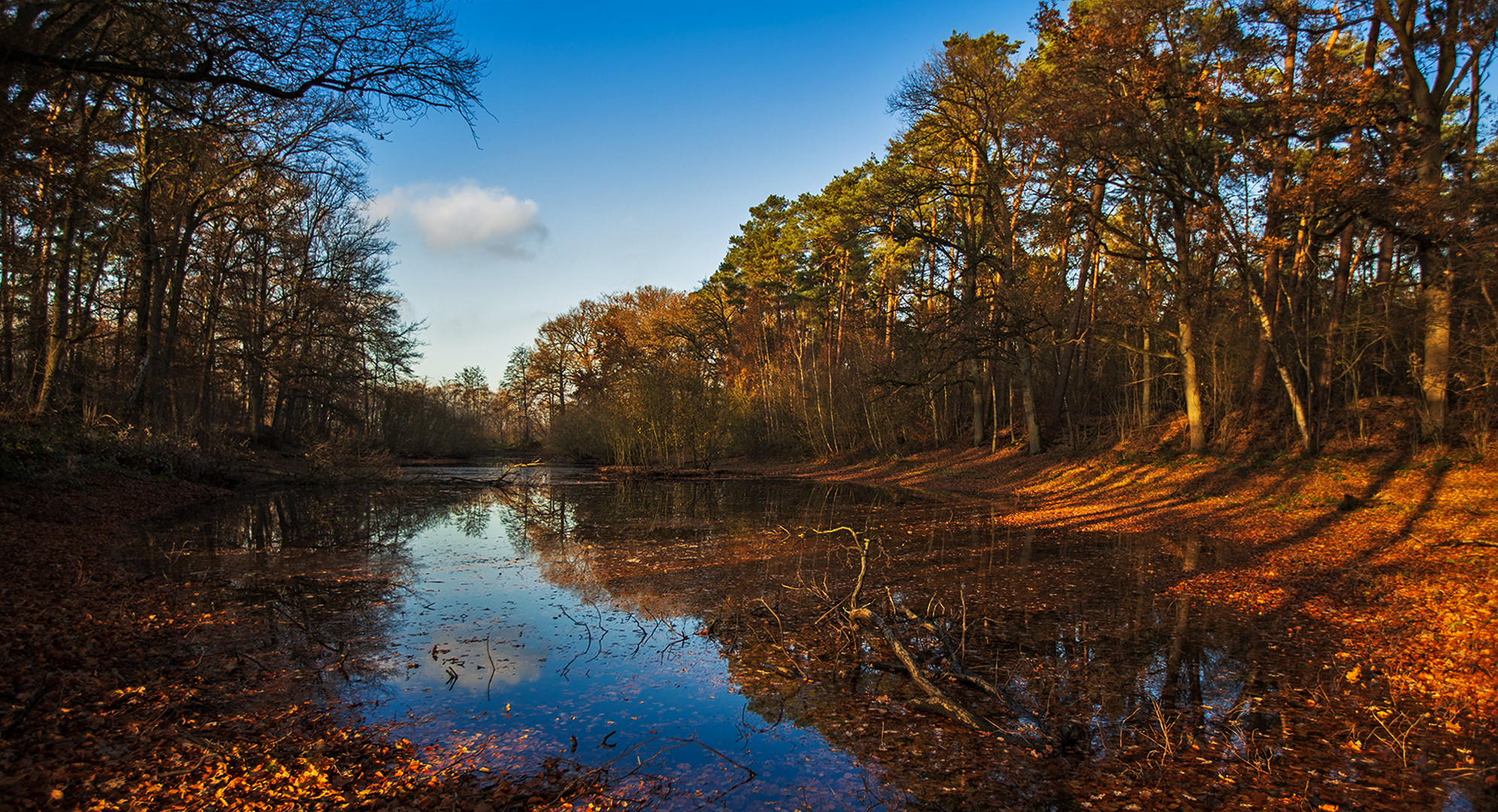 Herbstlicher kleiner Teich 001