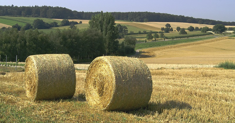 Herbstlicher Kraichgau