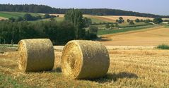 Herbstlicher Kraichgau