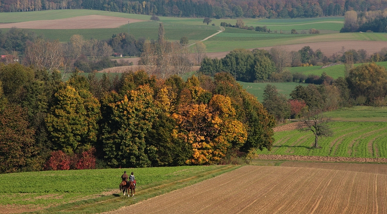 Herbstlicher Kraichgau