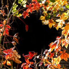 herbstlicher Kreisverkehr