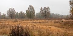   Herbstlicher Kronsberg