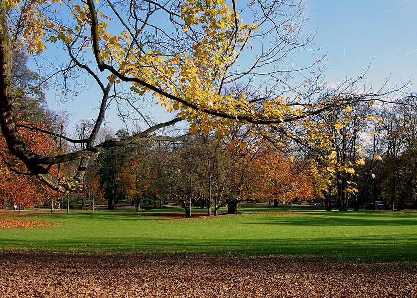 Herbstlicher Kurpark