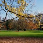 Herbstlicher Kurpark