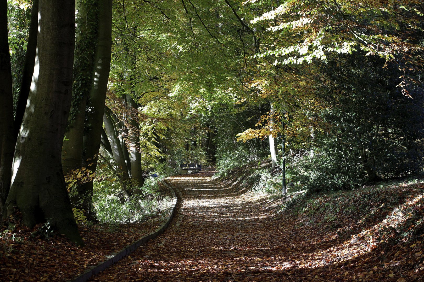 herbstlicher kurpark in tecklenburg