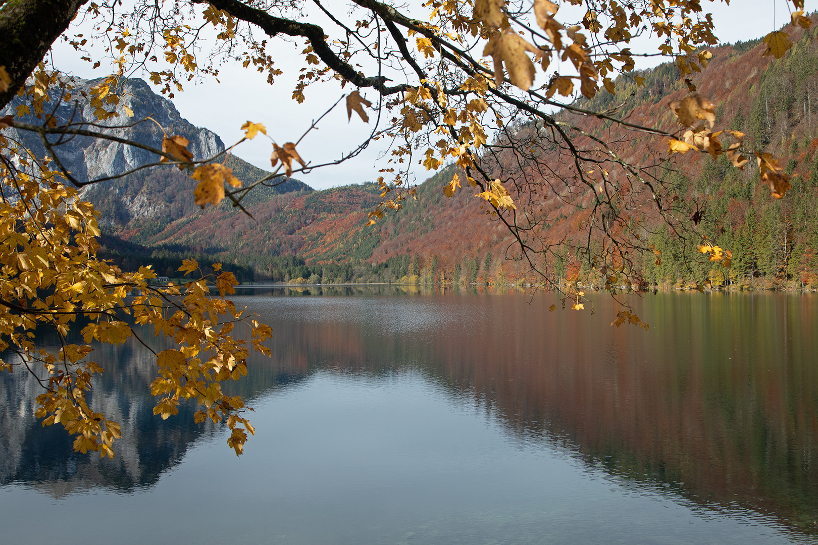 herbstlicher Langbathsee