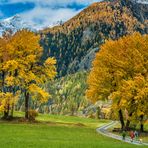 Herbstlicher Laubbaumtraum - II