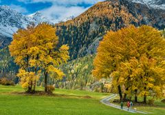 Herbstlicher Laubbaumtraum - II