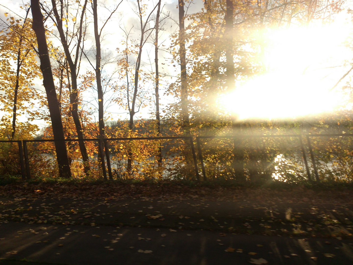 Herbstlicher Lichteffekte