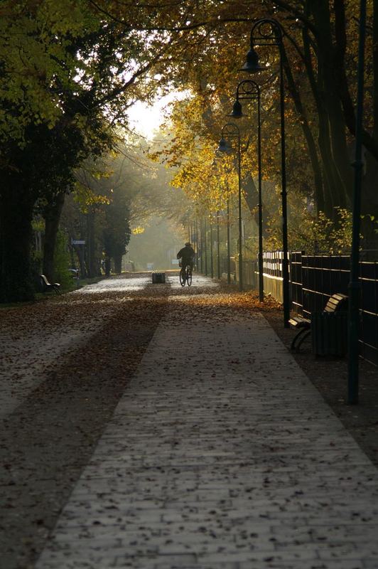 Herbstlicher Lichteinfall