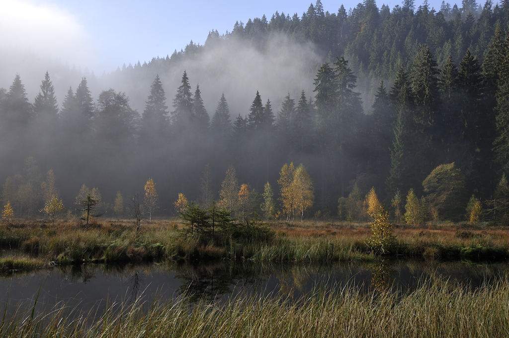 Herbstlicher Lieblings-See 2