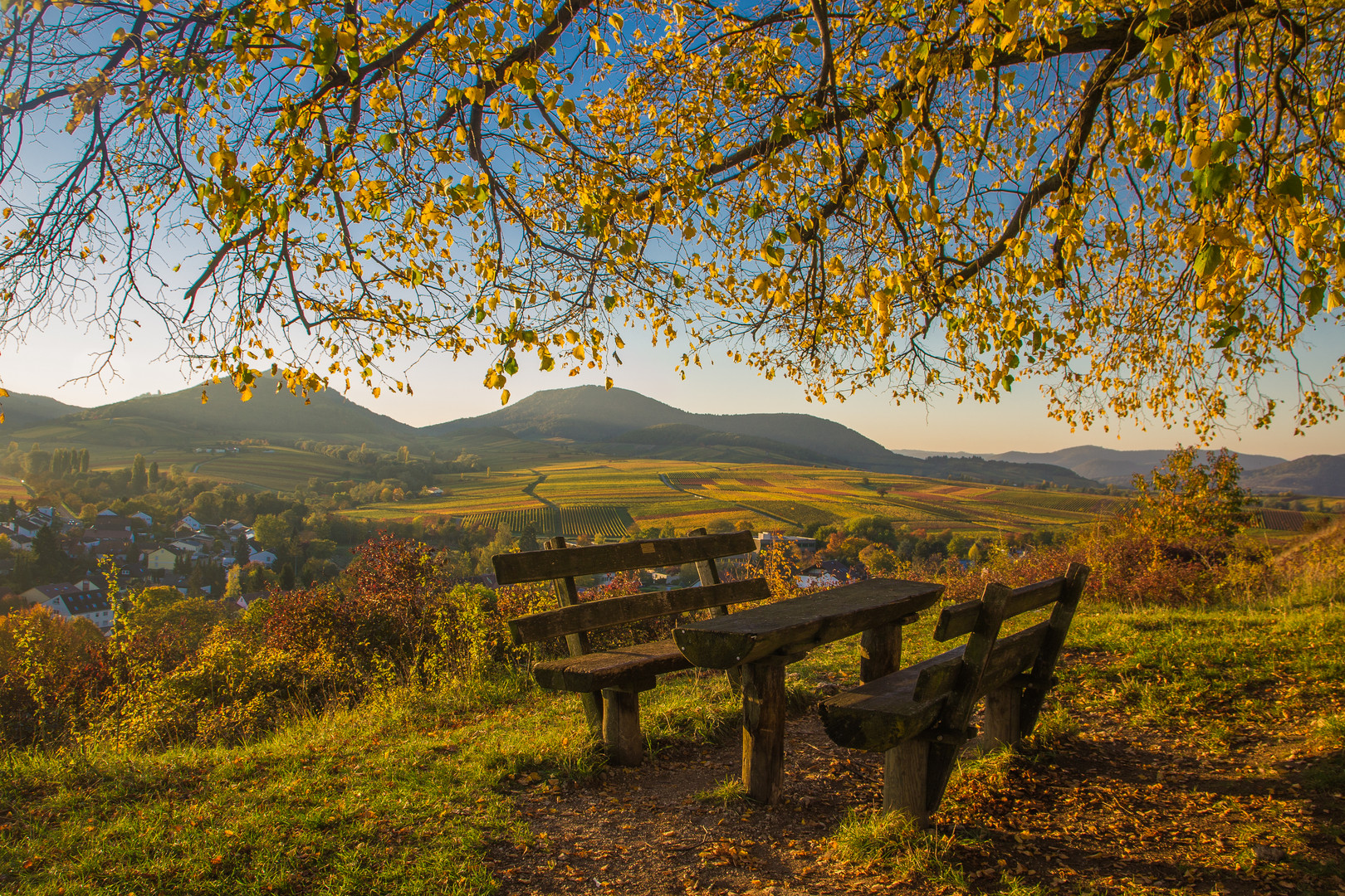 Herbstlicher Logenplatz an der Kleinen Kalmit