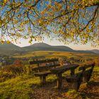 Herbstlicher Logenplatz an der Kleinen Kalmit