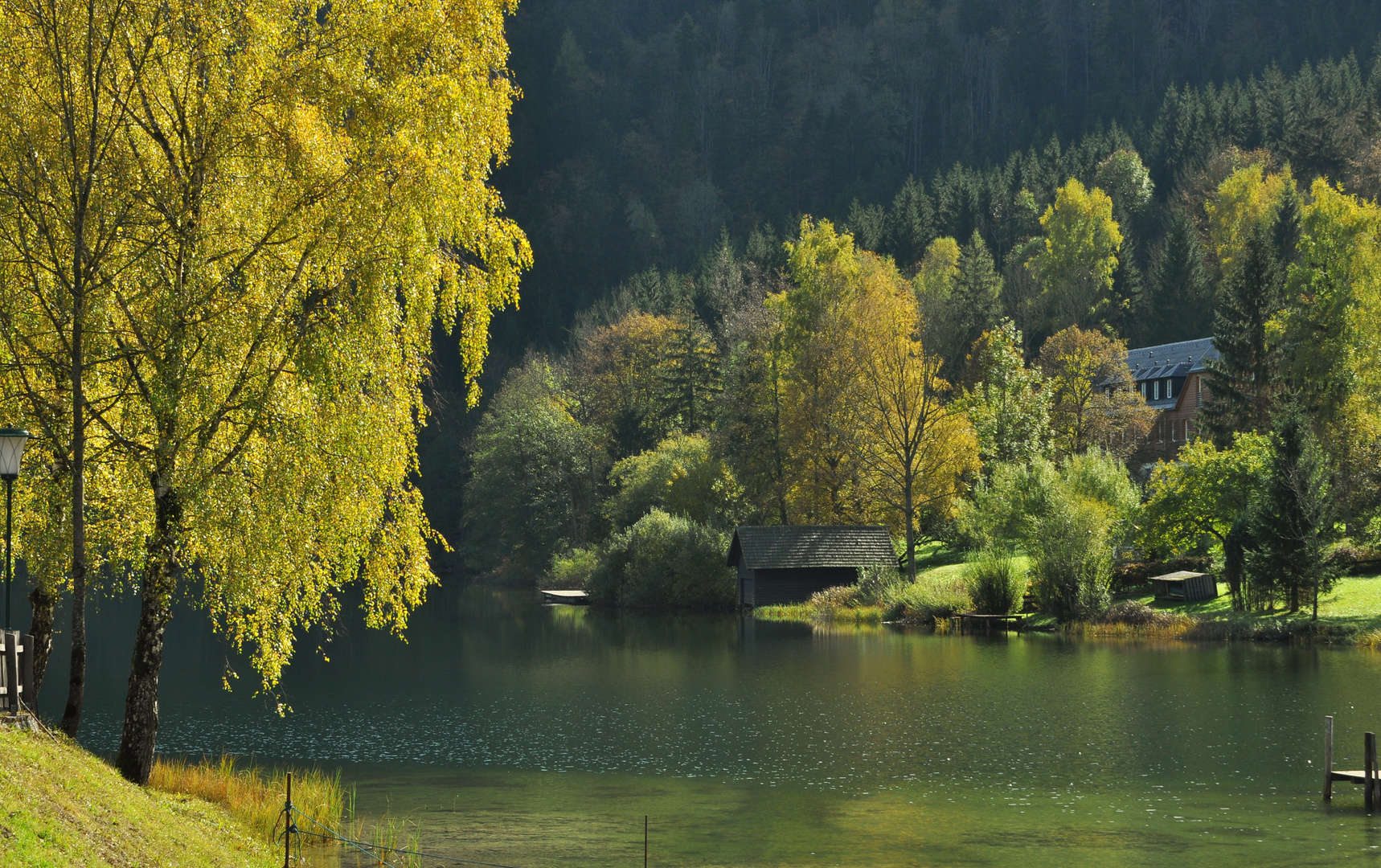 herbstlicher Lunzer See