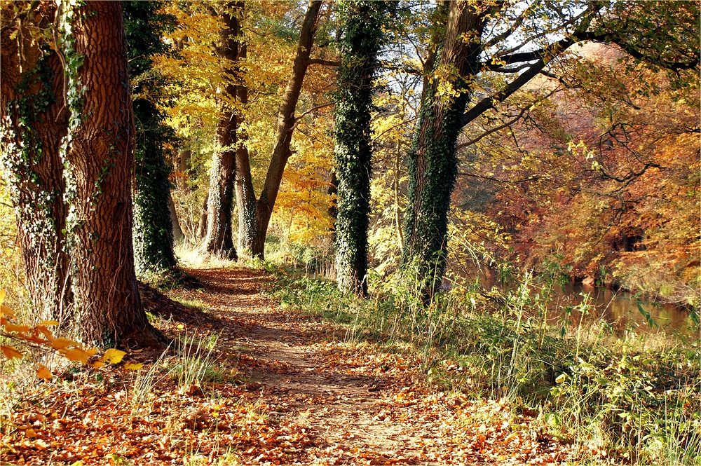 Herbstlicher Malkasten