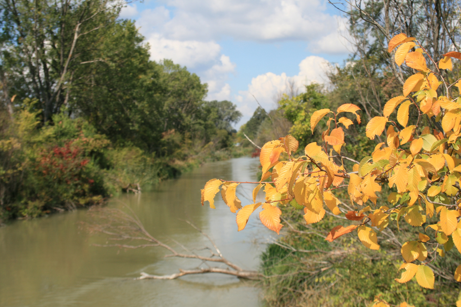 Herbstlicher Marchfeldkanal