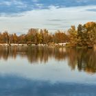 Herbstlicher Margaretensse 001