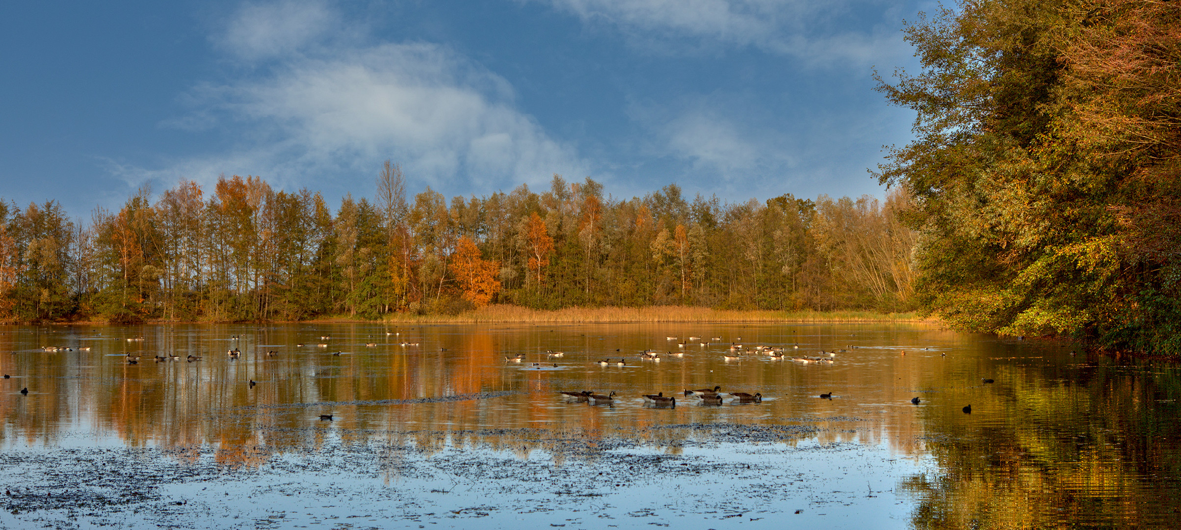 Herbstlicher Mastholter-See 001