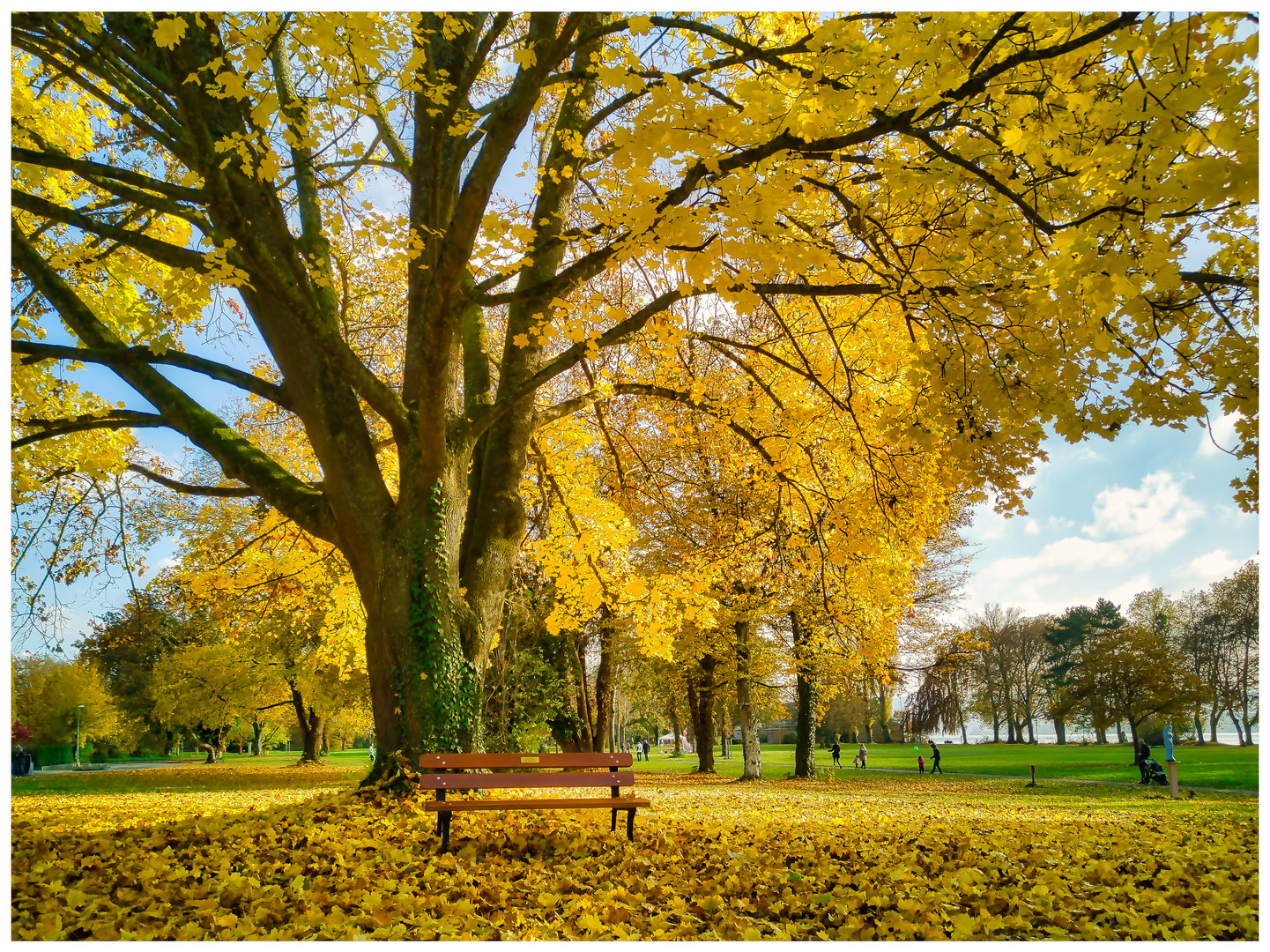 Herbstlicher Mettnaupark