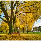 Herbstlicher Mettnaupark