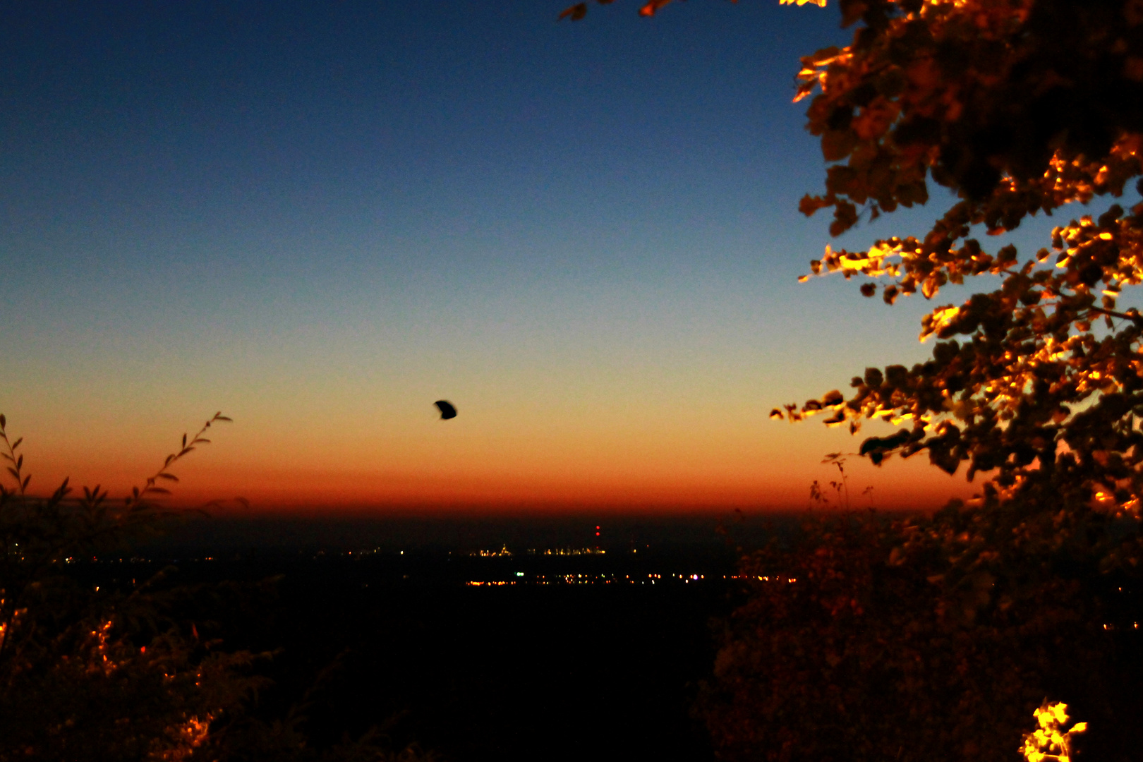 Herbstlicher Michaelsberg..