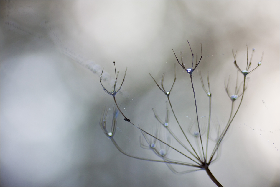 Herbstlicher Minimalismus