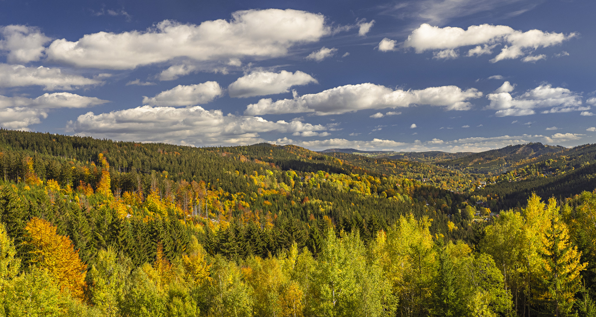 Herbstlicher Mischwald