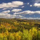 Herbstlicher Mischwald