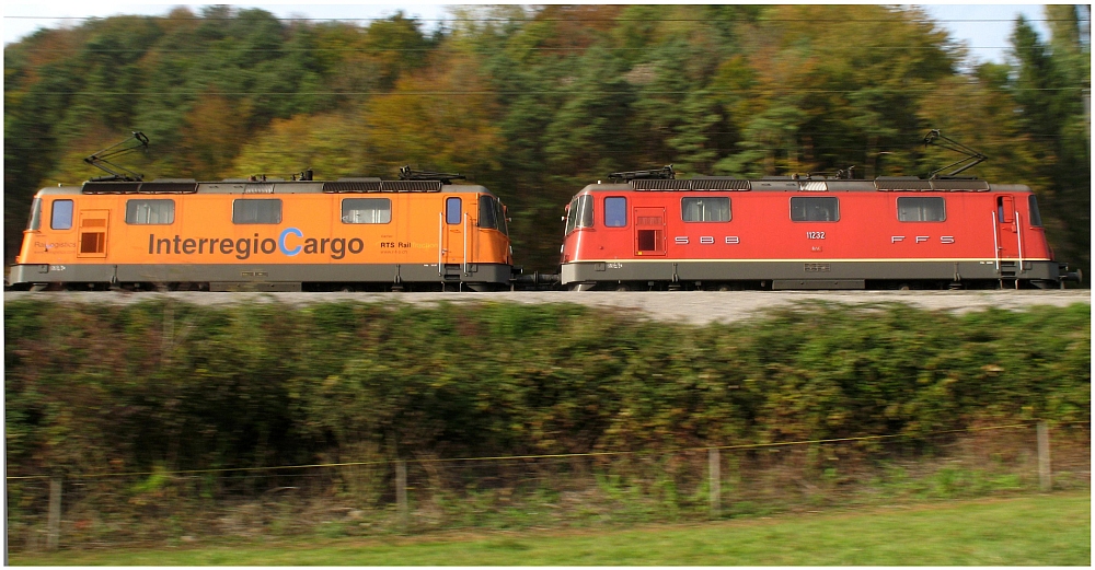 Herbstlicher Mitzieher