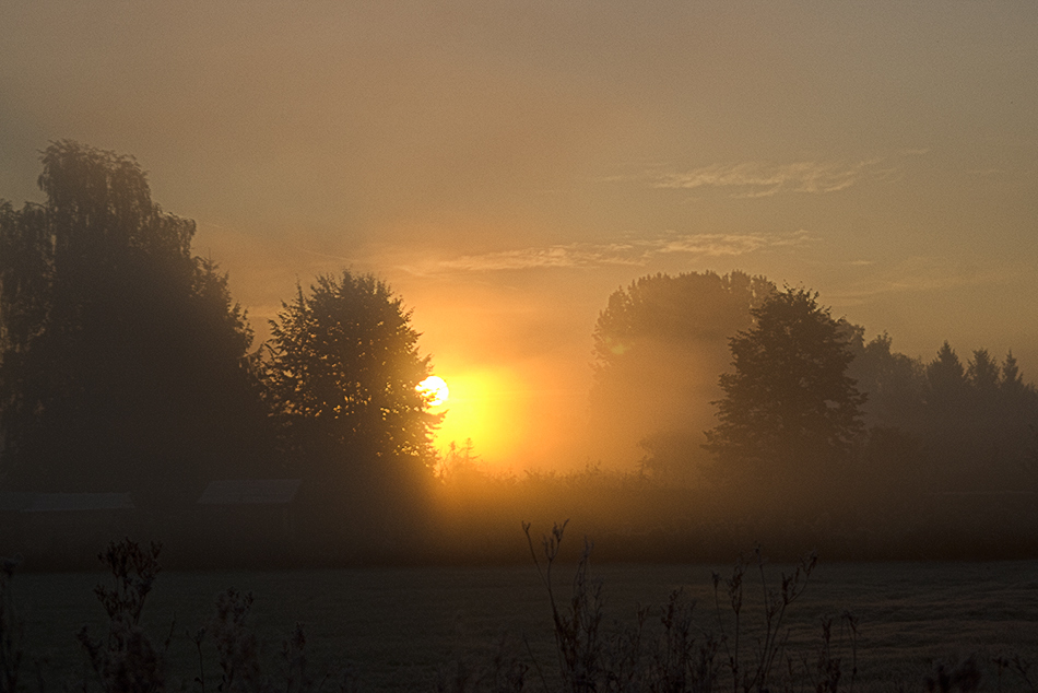 Herbstlicher Morgen von Th. H. 