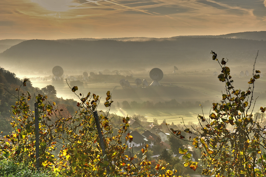 Herbstlicher Morgen