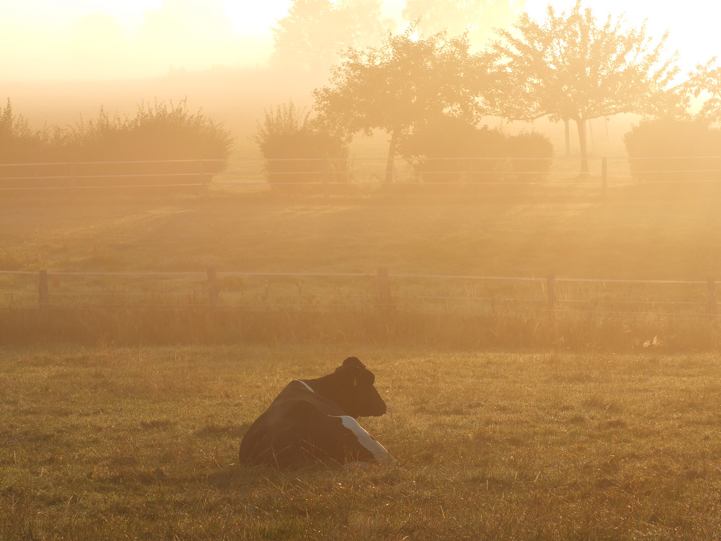 Herbstlicher Morgen