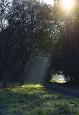 Herbstlicher Morgen