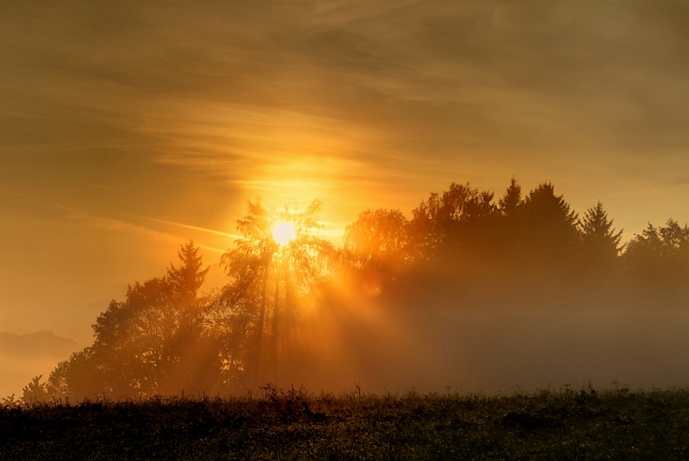 Herbstlicher Morgen