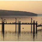 herbstlicher morgen an der 'scharfen lanke'