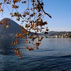 herbstlicher Morgen in Lugano