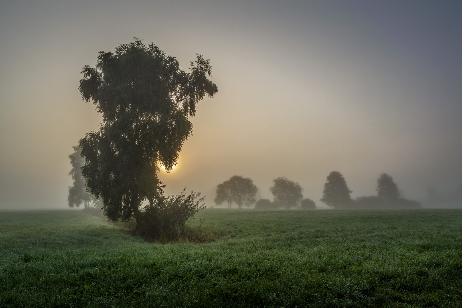 Herbstlicher Morgennebel