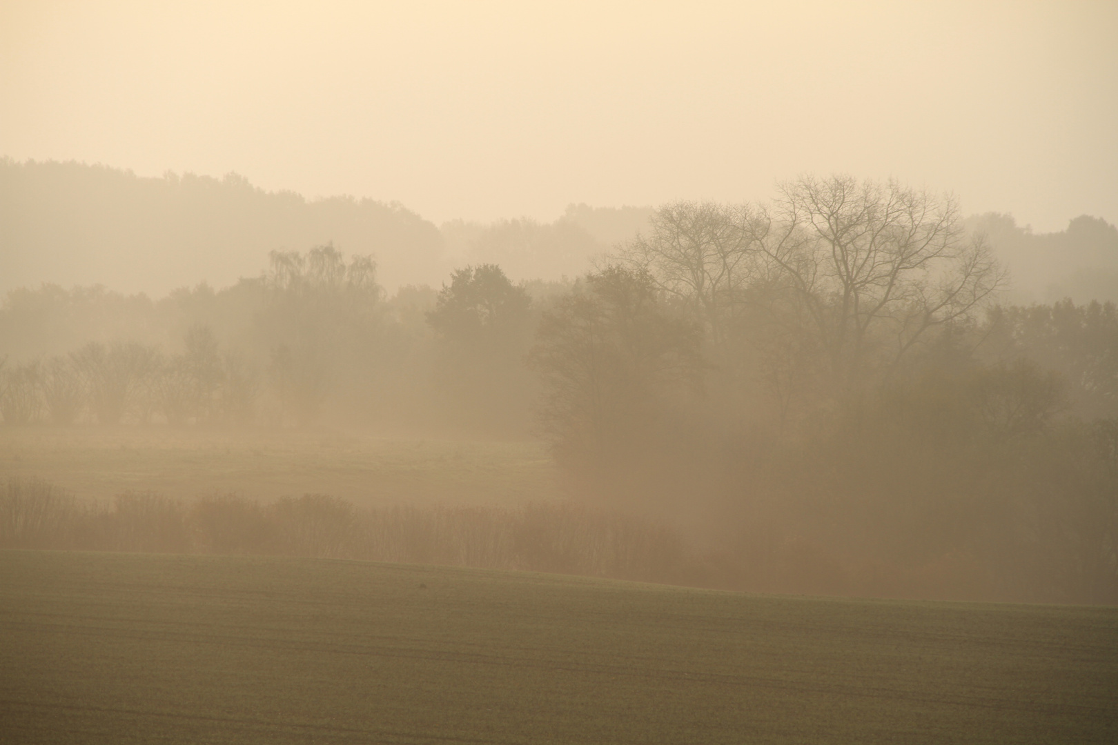 Herbstlicher Morgennebel