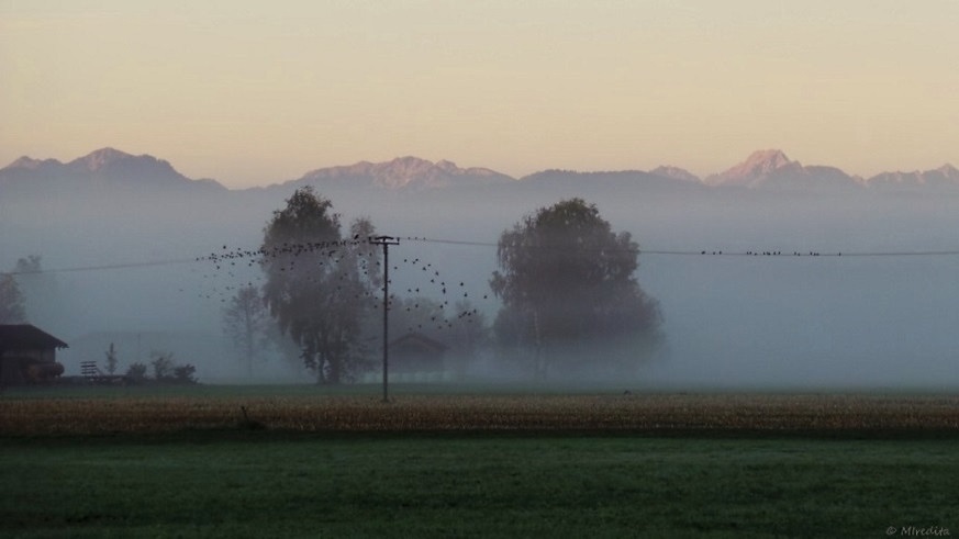 Herbstlicher Morgennebel