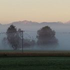 Herbstlicher Morgennebel