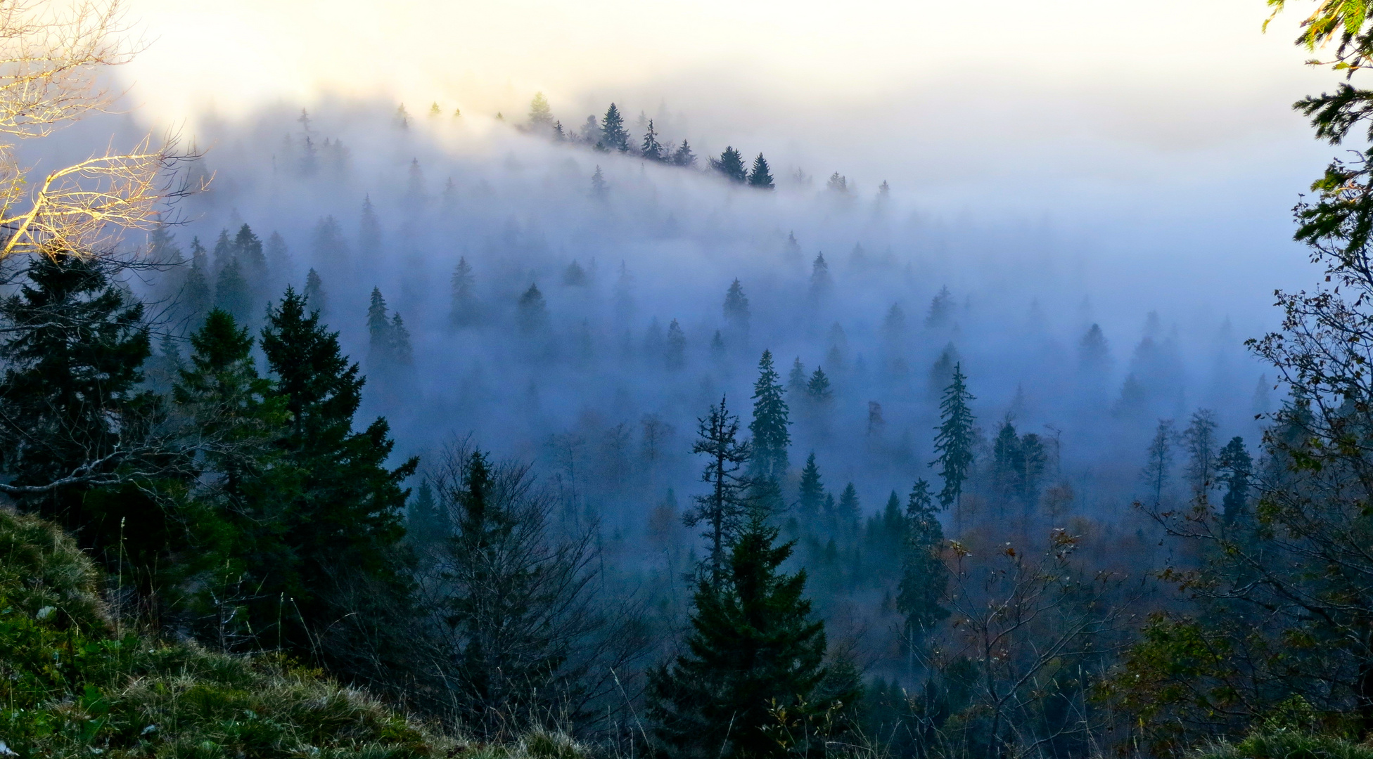 Herbstlicher Morgennebel...