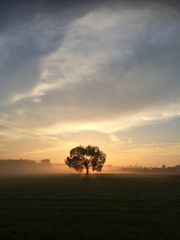 Herbstlicher Morgenspaziergang