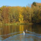 Herbstlicher Mühlenteich