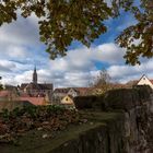 Herbstlicher Münsterblick